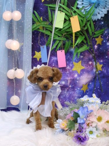 20250712モコくん